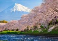 8 Potret Raya Kohandi Liburan di Jepang, Menikmati Keindahan Sakura dan Gunung Fuji
