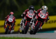 AR​RC Buriman 2026: Astra Honda Targetkan Podium Ganda Usai Gemilang di Sepang