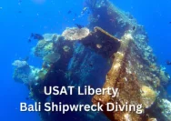 Bangkai USAT Liberty di Tulamben: Dari Relik Perang Menjadi Surga Selam Dunia