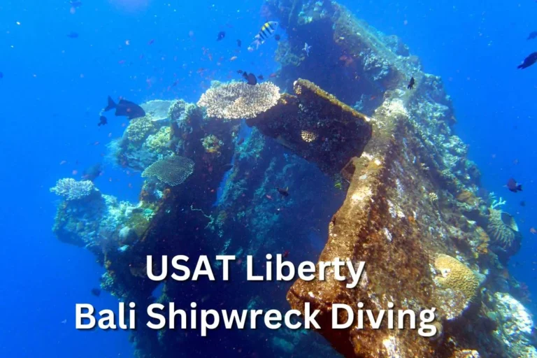 Bangkai USAT Liberty di Tulamben: Dari Relik Perang Menjadi Surga Selam Dunia