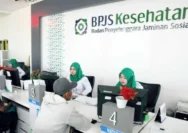BPJS Kesehatan Buka Lowongan Anggota Komite Non Dewan Pengawas 2026: Kesempatan Karier Strategis bagi Profesional Audit dan Tata Kelola