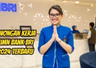 BRI Buka Lowongan Kerja: 2 Posisi Menanti Lulusan D3 hingga S1, Kesempatan Langsung untuk Fresh Graduate
