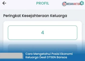 Cara Mudah Cek Status Desil Bansos: Ketahui Posisi Ekonomi Keluarga Anda
