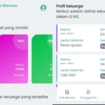 Cara Praktis Cek Bansos Rp600 Ribu dengan NIK KTP Secara Online