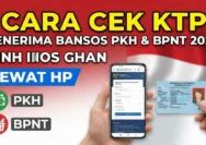 Cara Praktis Cek BPNT 2026 Hanya dengan NIK KTP: Panduan Lengkap 2024