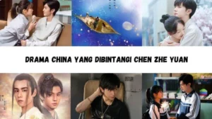 Drama, Kontroversi dan Cinta: Menguak Fenomena Aktor China di Panggung Global