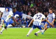 Drama Tottenham vs Brighton: Kritik Carragher, Kebobolan Mematikan, dan Harapan Hindari Degradasi