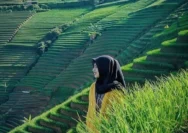 Eksplor Tabanan 2026: 5 Destinasi Hits di Bumi Lumbung Padi yang Wajib Dikunjungi