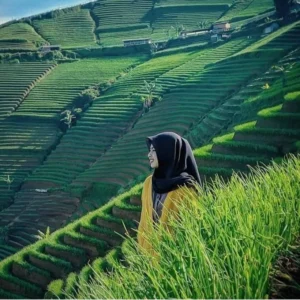 Eksplor Tabanan 2026: 5 Destinasi Hits di Bumi Lumbung Padi yang Wajib Dikunjungi