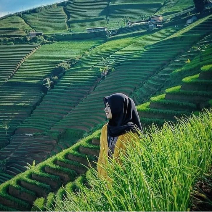 Eksplor Tabanan 2026: 5 Destinasi Hits di Bumi Lumbung Padi yang Wajib Dikunjungi