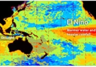 El Nino “Godzilla” 2026: Apa Itu, Prediksi BMKG, dan Dampaknya pada Kesehatan serta Lingkungan Indonesia