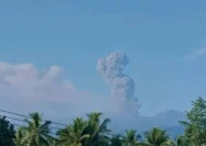 Gunung Dukuno Mengguncang Langit Halmahera Utara: Abu Setinggi 1.600 Meter, Warga Diminta Waspada