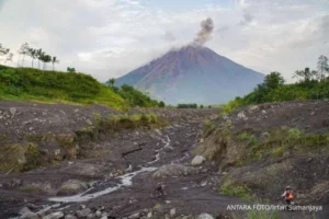 Gunung Semeru Meletus 7 Kali Beruntun, Kolom Abu Mencapai 1,1 km – Ancaman Besar di Jawa Timur