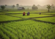 Kartini Muda Pertanian Digital: Dari Sawah Bali ke Usaha Modern lewat BRImo