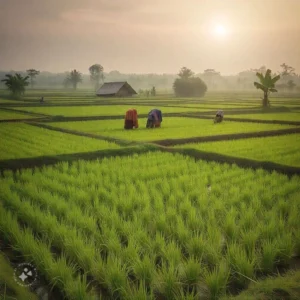 Kartini Muda Pertanian Digital: Dari Sawah Bali ke Usaha Modern lewat BRImo