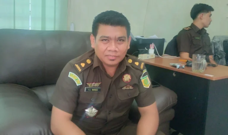 Kasus Website Desa Karo Mirip Amsal Sitepu: Toni Aji Anggoro Dijatuhi Hukuman Penjara