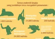 Krisis Satwa Ikonik Indonesia: Populasi Menipis dan Jaringan Penyelundupan Mengancam Kelestarian