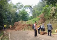 Longsor Sumedang: Tebing 15 m Runtuh, Akses Kebun Teh Cisoka Lumpuh Total