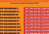Mengenal Pangkat PPPK: Panduan Lengkap Golongan, Jenjang, dan Hak Finansial