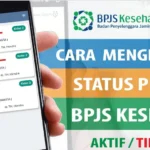 Panduan Lengkap BPJS Kesehatan WhatsApp: Cek Status & Aktivasi Secara Praktis