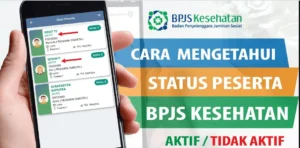 Panduan Lengkap BPJS Kesehatan WhatsApp: Cek Status & Aktivasi Secara Praktis
