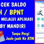 Panduan Praktis Cek Penerima BPNT 2026 lewat HP: Langkah Mudah, Cepat, dan Aman