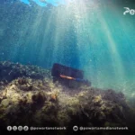 Penemuan Harta Karun Cirebon Wreck: Kapal Dagang China Abad ke-10 Nilai Rp720 Miliar
