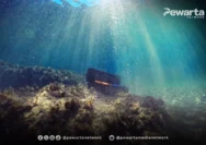Penemuan Harta Karun Cirebon Wreck: Kapal Dagang China Abad ke-10 Nilai Rp720 Miliar
