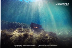Penemuan Harta Karun Cirebon Wreck: Kapal Dagang China Abad ke-10 Nilai Rp720 Miliar