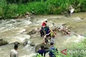 Penemuan Jasad Perempuan di Pinggir Sungai Guncang Warga: Kronologi, Reaksi, dan Kasus Serupa di Jakarta
