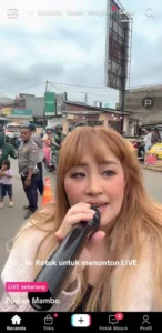 Pinkan Mambo Bikin Live TikTok di Pinggir Jalan, Cuan Jutaan dan Pedagang Meraup Rezeki
