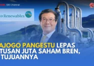 Prajogo Pangestu Lepas Ratusan Juta Saham CUAN, Nilai Transaksi Mencapai Rp 849 Miliar