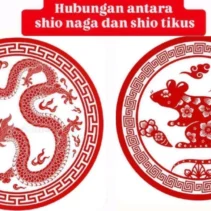 Ramalan Shio Hari Ini Beda Nasib: Tikus di Puncak, Naga Bertengkar dengan Pasangan, dan Kejutan untuk 12 Shio