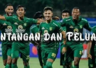 Rio Ave Berburu Kemenangan di Primeira Liga: Analisis Tantangan dan Peluang