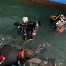 Tragedi Berganda di Carnival Splendor: Pria Jatuh ke Laut dan Wanita Tewas Saat Snorkeling