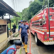Trenggiling Masuk Rumah Warga di Pekanbaru, Damkar Bergerak Cepat Lakukan Evakuasi Aman