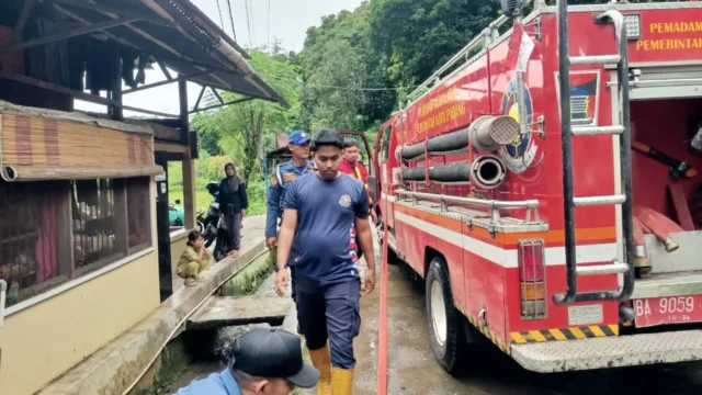 Trenggiling Masuk Rumah Warga di Pekanbaru, Damkar Bergerak Cepat Lakukan Evakuasi Aman