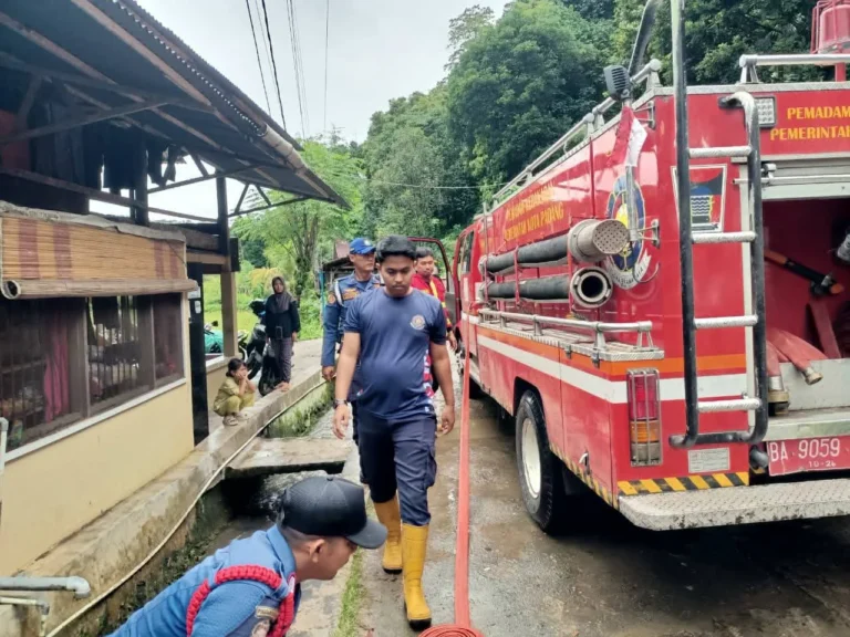 Trenggiling Masuk Rumah Warga di Pekanbaru, Damkar Bergerak Cepat Lakukan Evakuasi Aman