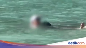 Turis Prancis Denda di Maya Bay: Pelanggaran Aturan Berenang Memicu Sanksi Besar