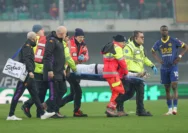 Verona Usai Kekelegaan Melawan Fiorentina: Sammarco Tekankan Bangkit Lagi di Depan Torino