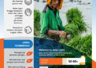 Waspada El Nino 'Godzilla' 2026: Dampak Kesehatan yang Harus Diantisipasi Seluruh Indonesia