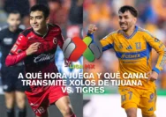 Xolos Tijuana Kalahkan Tigres UANL 1-0, Pertanda Kebangkitan di Kandang